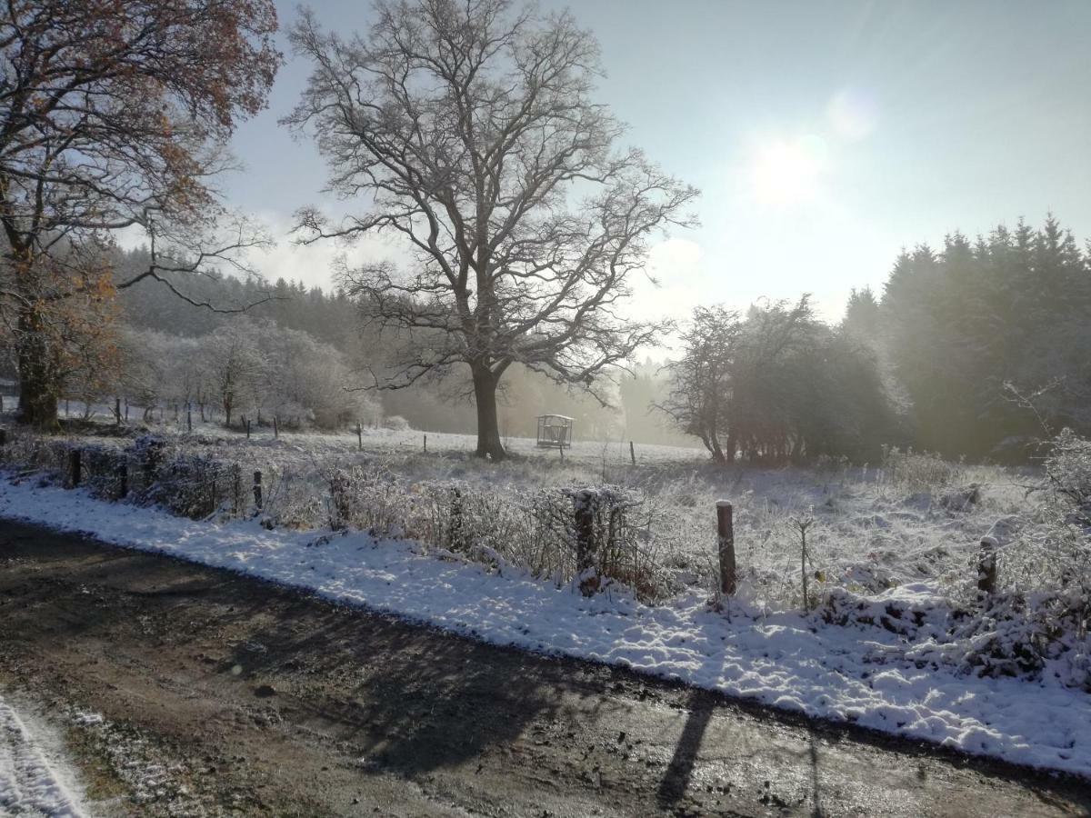 Vila La Bergerie De Ster Francorchamps Exteriér fotografie